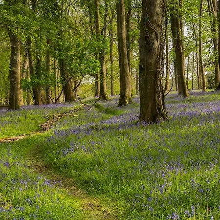Maryfields 別荘 キャッスルメイン
