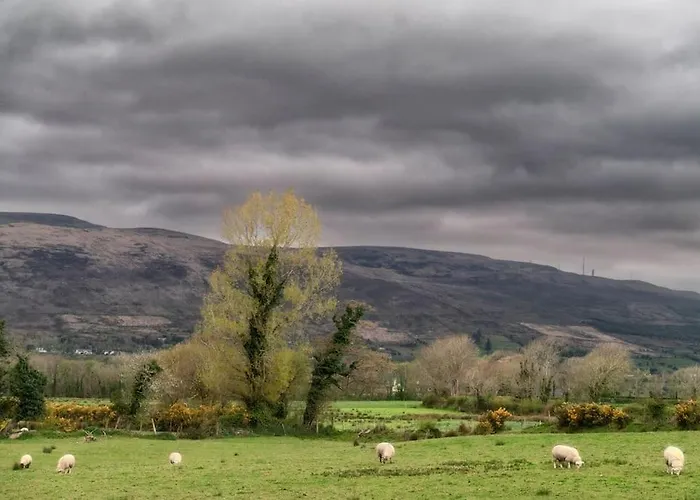 Maryfields Hébergement de vacances Castlemaine