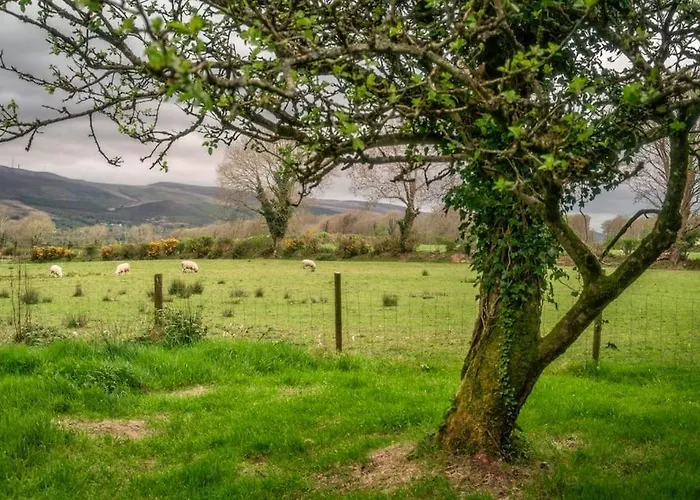 Maryfields * Castlemaine