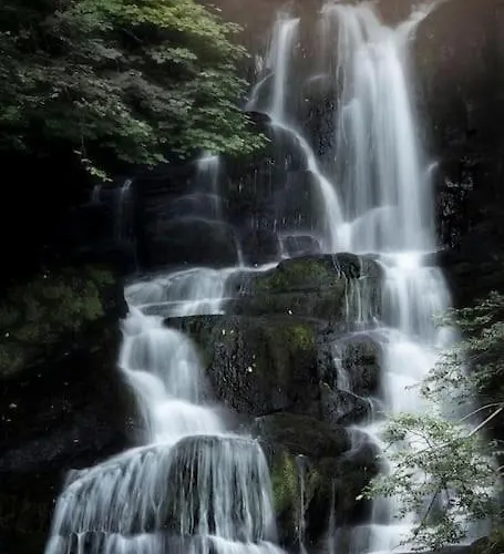 Maryfields Castlemaine